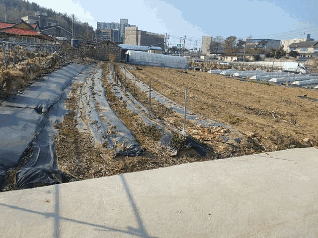 B000511202501300508884.jpg