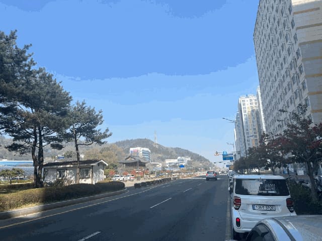 B000511202501300509932.jpg