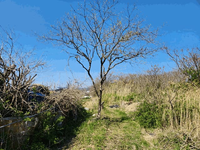 B000511202501300510074.jpg