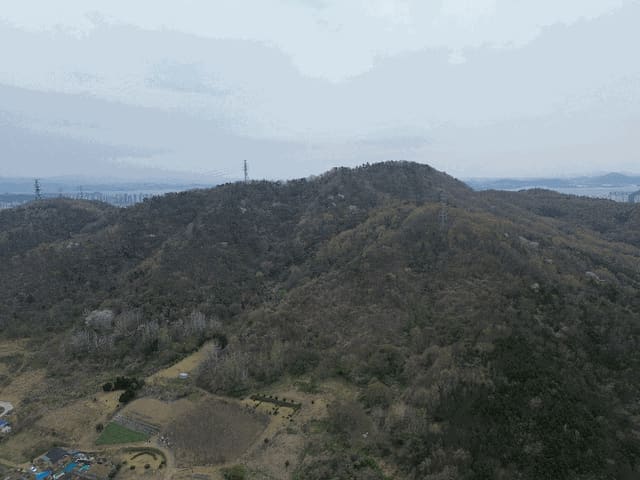 B000511202501300510183.jpg
