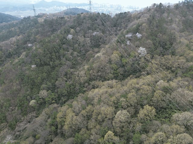 B000511202501300510184.jpg