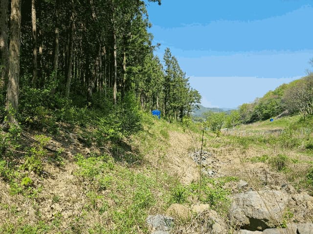 B0005112025013005103344.jpg