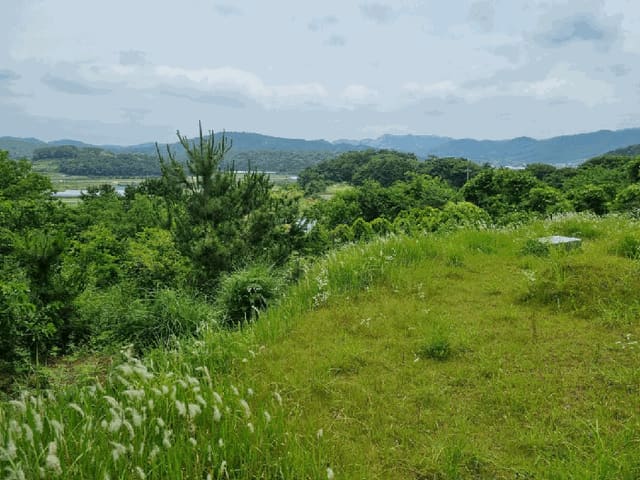 B000511202501300511514.jpg