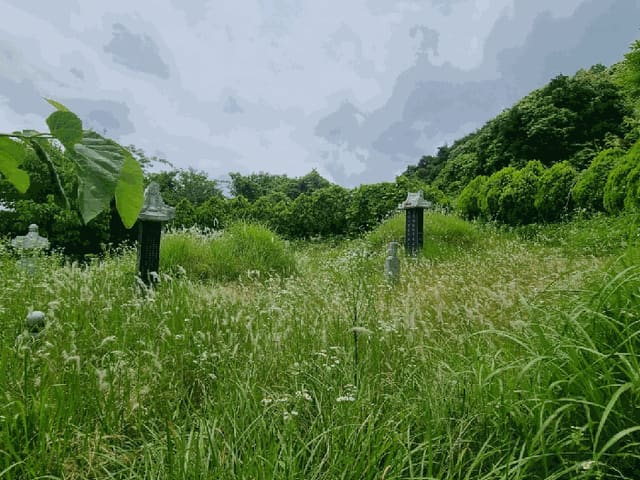 B000511202501300511513.jpg