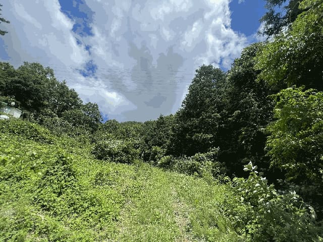 B000511202501300512213.jpg