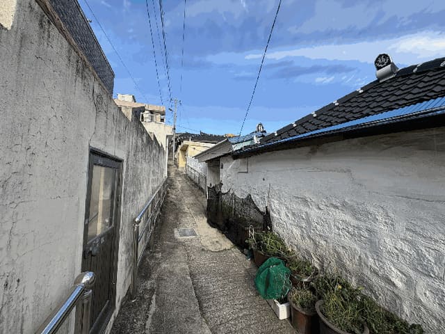 B000511202501300513023.jpg