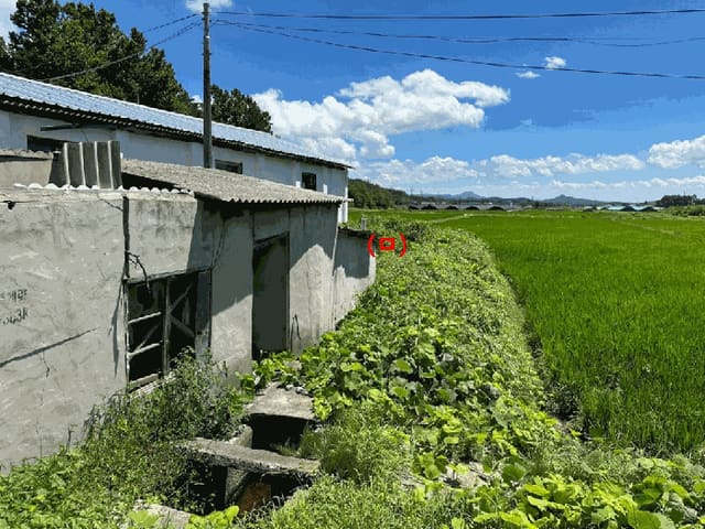 B000511202501300513084.jpg