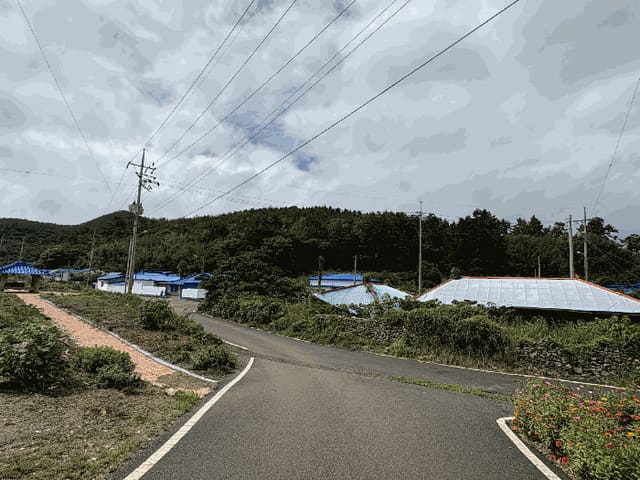 B000511202501300513104.jpg