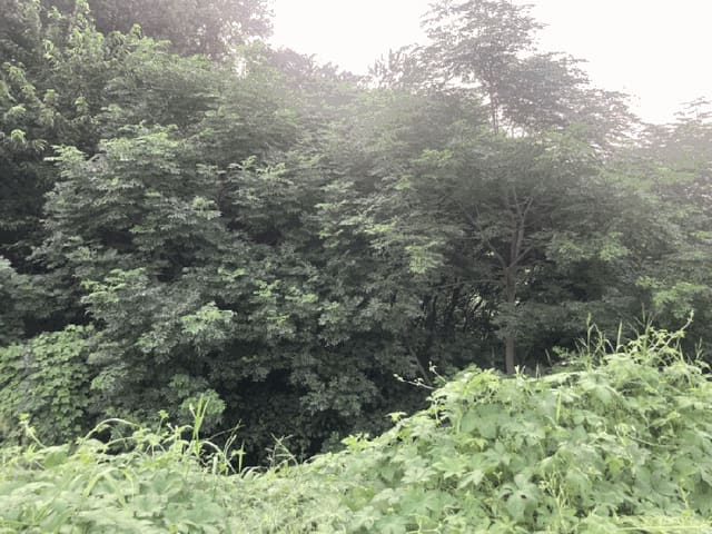 B000511202501300513483.jpg