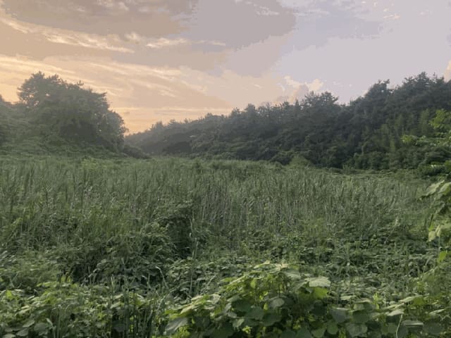 B000511202501300513484.jpg
