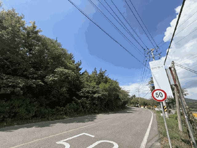 B000511202501300513794.jpg