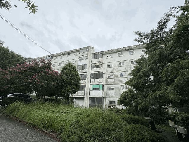 B000511202501300513853.jpg