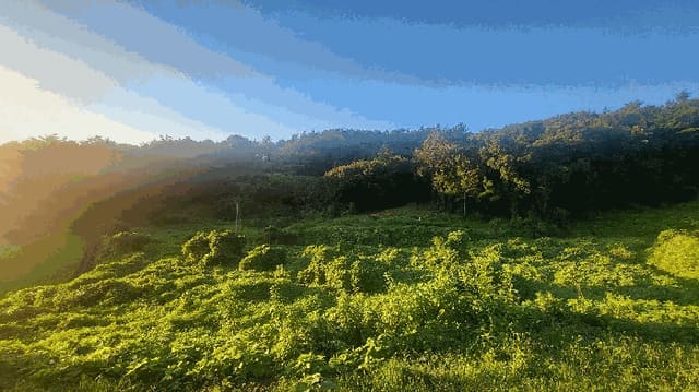 B000511202501300514233.jpg