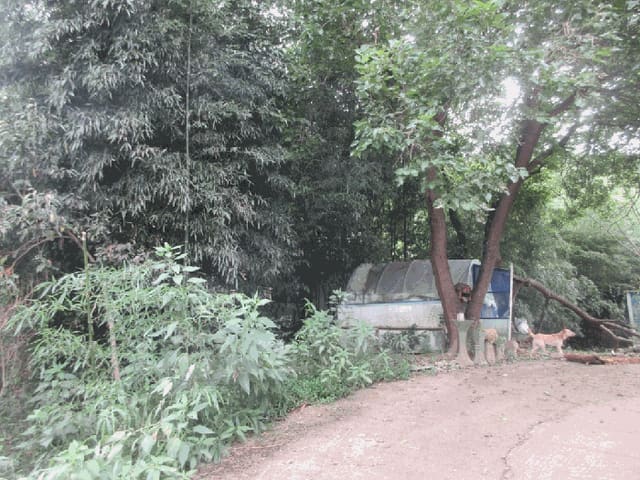B000511202501300514543.jpg
