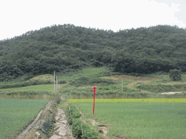 B000511202501300514934.jpg