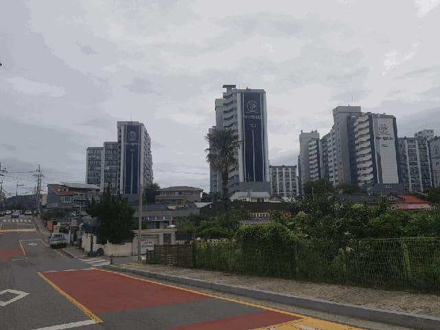 B000511202501300515213.jpg