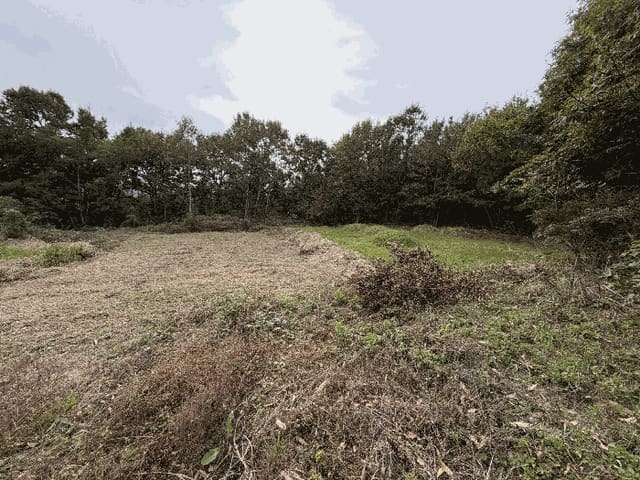 B000511202501300515324.jpg