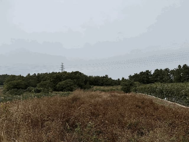 B000511202501300515323.jpg