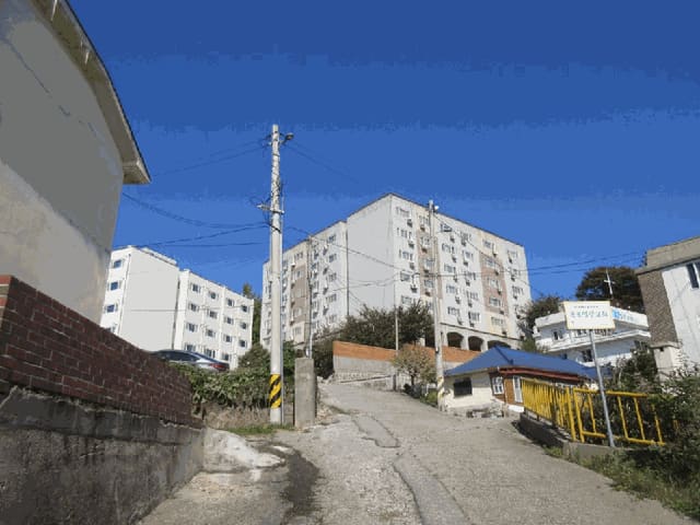 B000511202501300515332.jpg