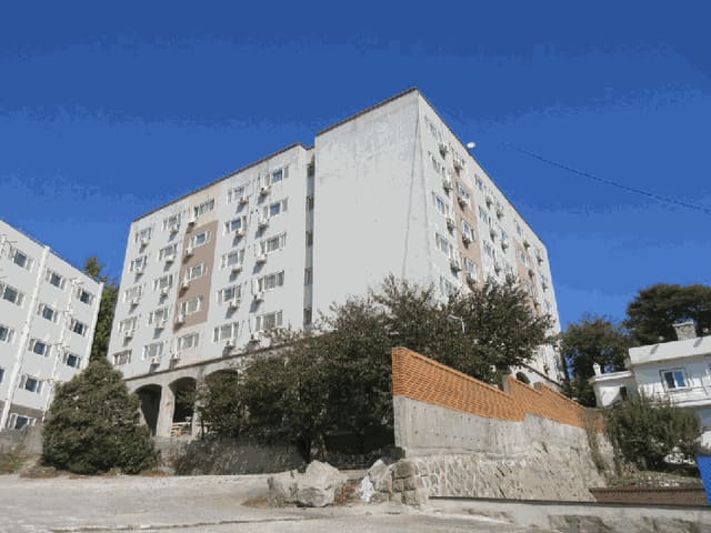 B000511202501300515333.jpg