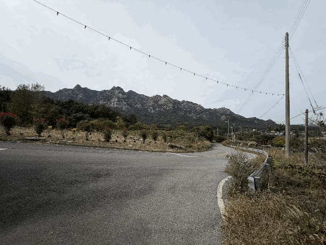 B000511202501300515474.jpg