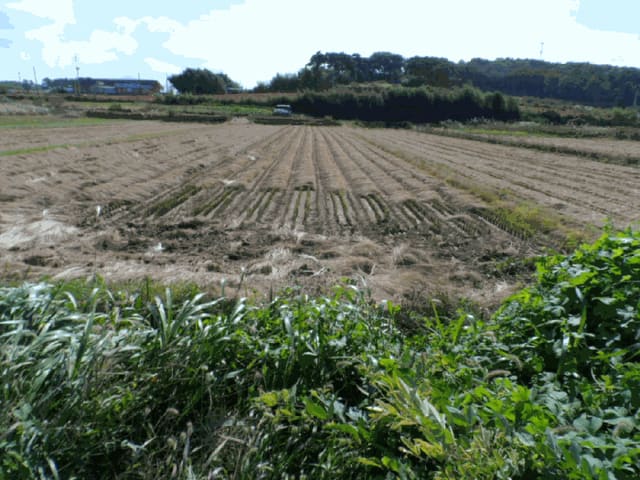 B000511202501300515654.jpg