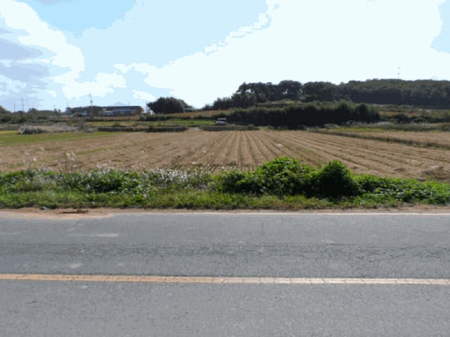 B000511202501300515653.jpg