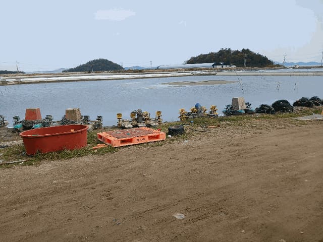 B000511202501300515742.jpg
