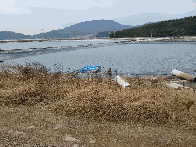 B000511202501300515744.jpg