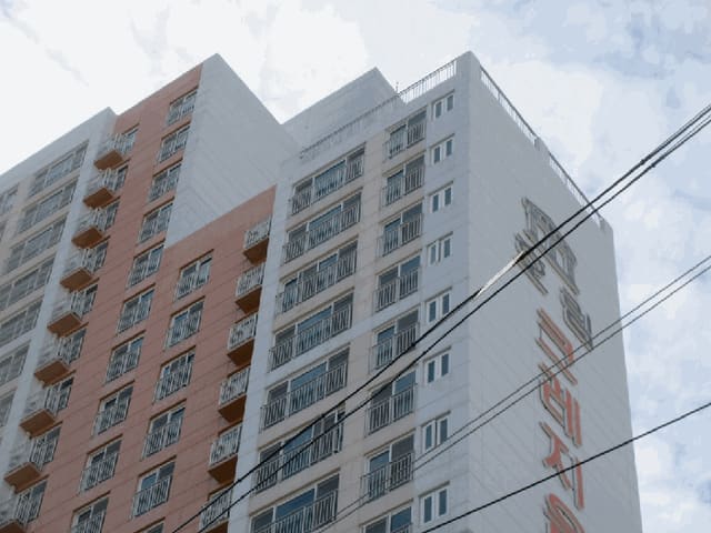 B000511202501300515893.jpg