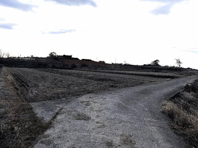 B000511202501300517544.jpg