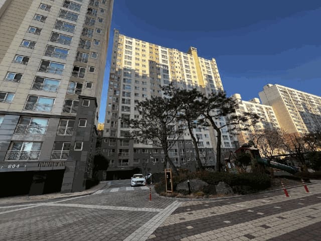 B000511202501300517564.jpg