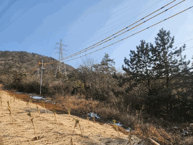 B000511202501300517654.jpg
