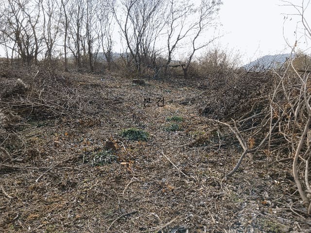 B000511202501300517674.jpg