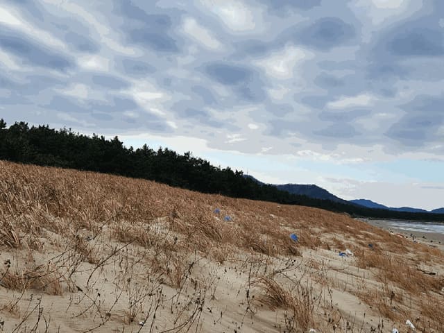 B000511202501300517725.jpg