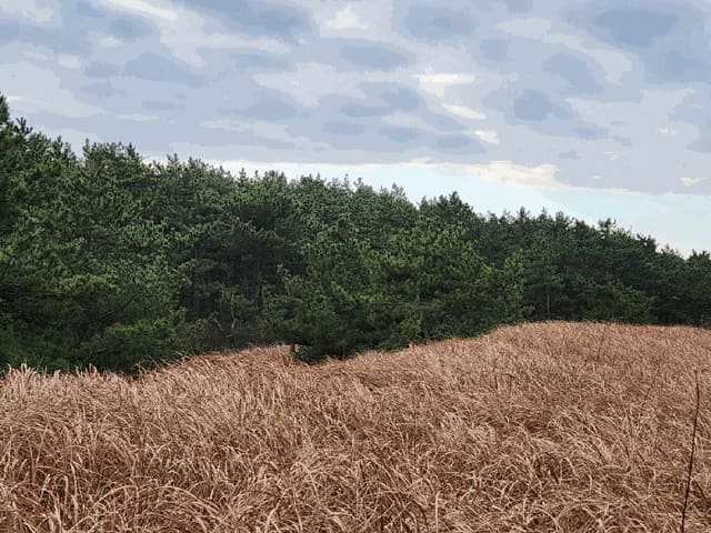 B000511202501300517726.jpg
