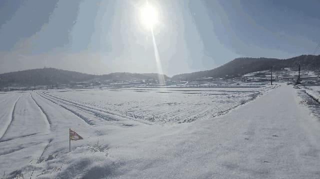 B000511202501300517854.jpg