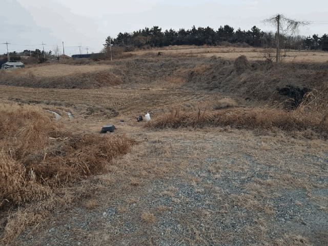 B000511202601300000054.jpg