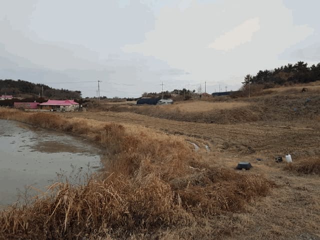 B000511202601300000053.jpg