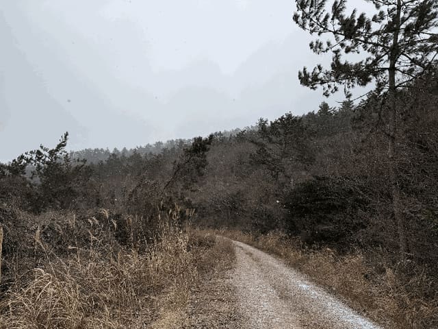 B000511202601300000074.jpg