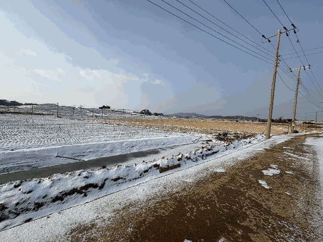 B000511202601300500063.jpg