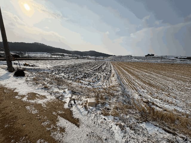 B000511202601300500064.jpg