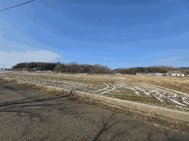 B000511202601300500195.jpg