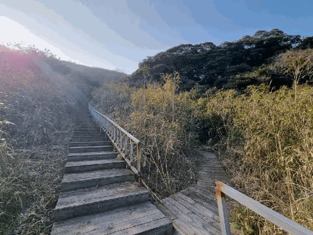 B000511202601300500274.jpg