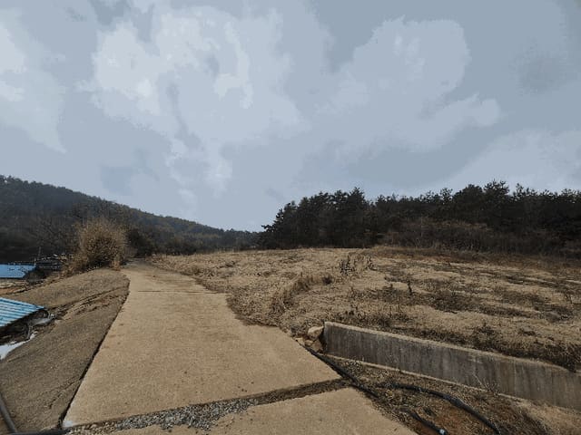 B000511202601300500474.jpg