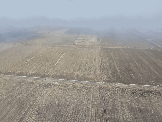 B000511202601300500773.jpg