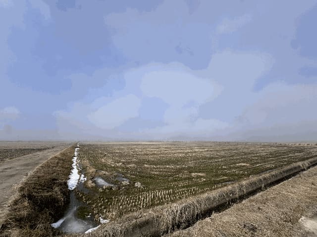B000511202601300500774.jpg