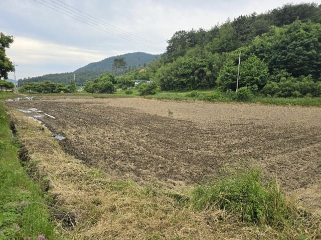 B000512202401300057494.jpg