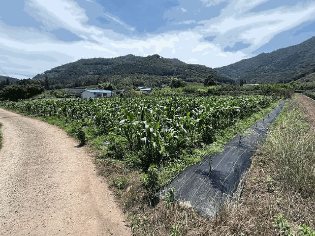 B000512202501300000883.jpg