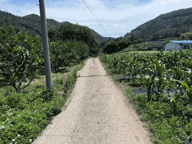 B000512202501300000884.jpg